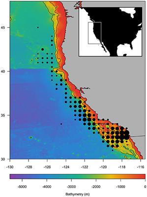 Integrating Dynamic Subsurface Habitat Metrics Into Species Distribution Models